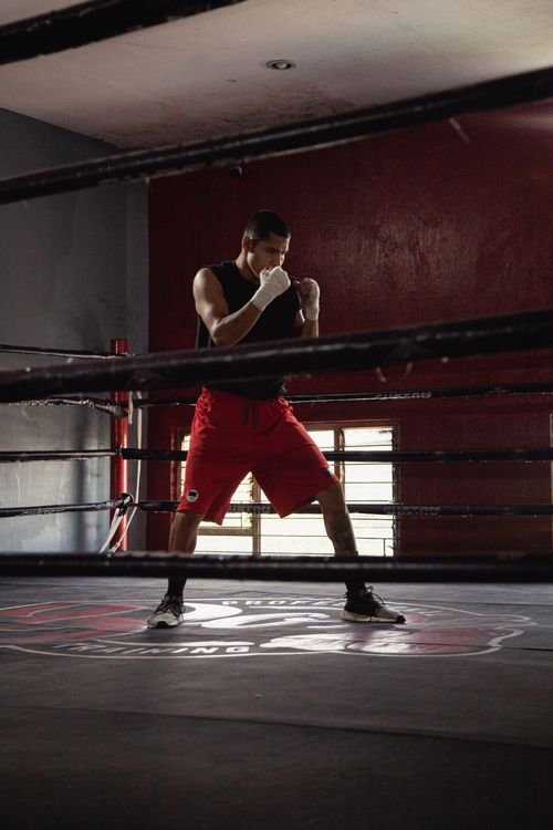 Boxer training inside the ring